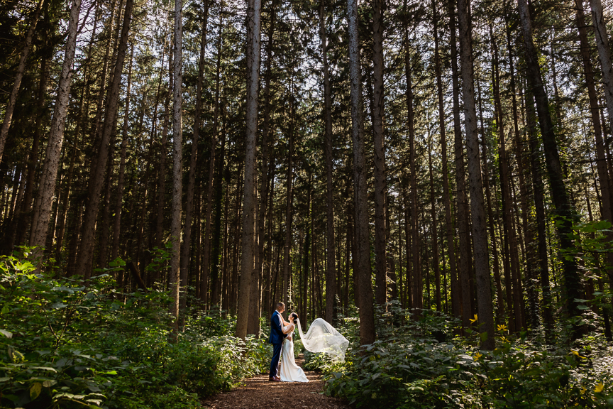 Morton Arboretum