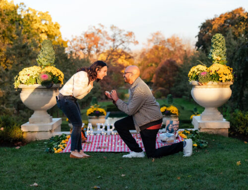 Cantigny Park Engagement Proposal Session