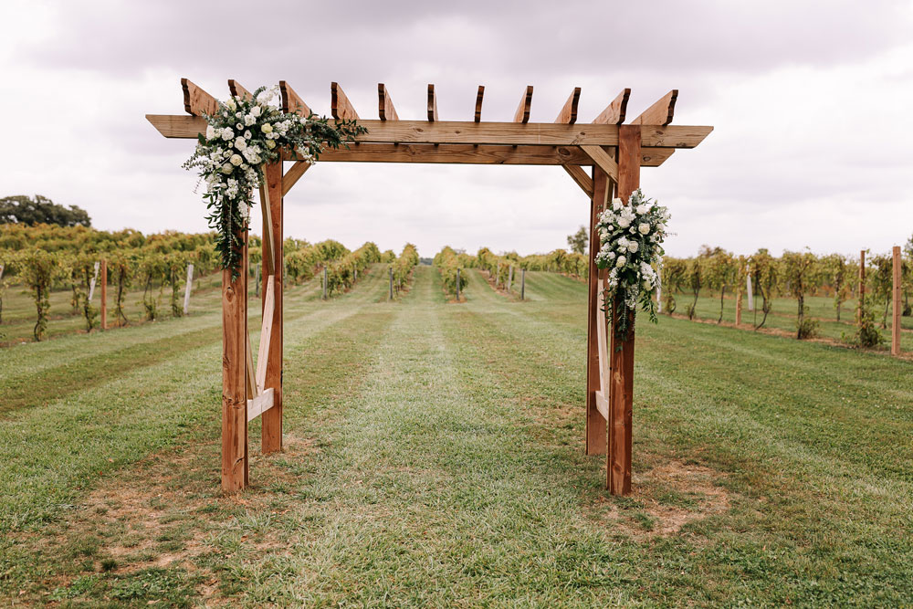 Providence_lavitaphotography-169 Providence Vineyard wedding venue details Chicago wedding photography