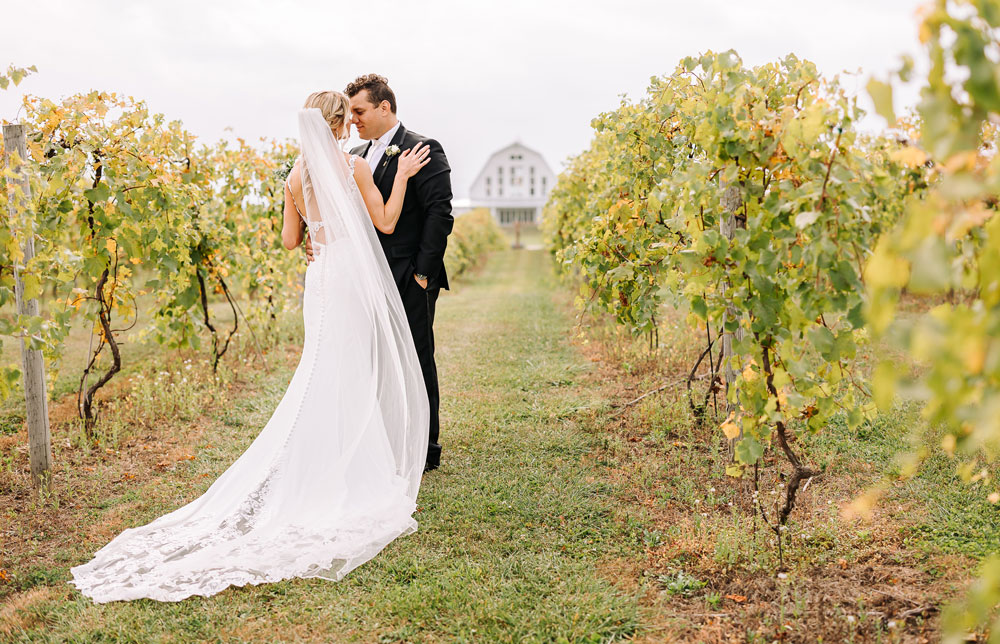 Providence_lavitaphotography-642 Bride and groom portrait in vineyard at Providence Vineyard Chicago wedding photographer