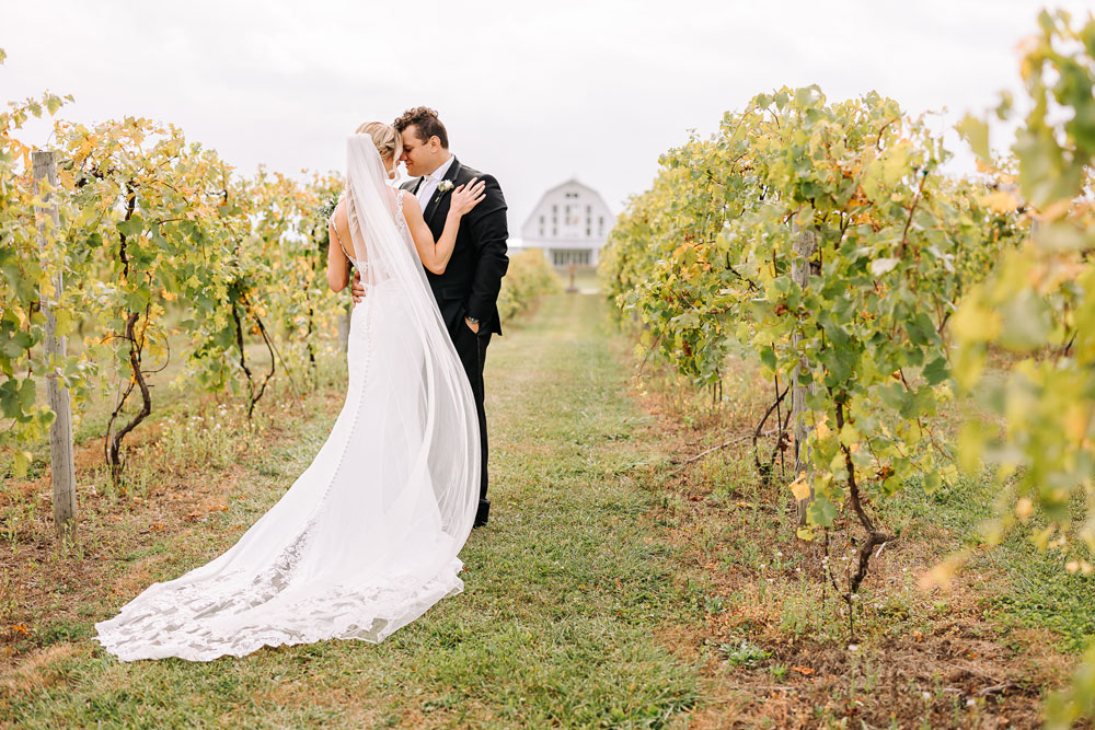 Bride and groom portrait in vineyard at Providence Vineyard Chicago wedding photographer