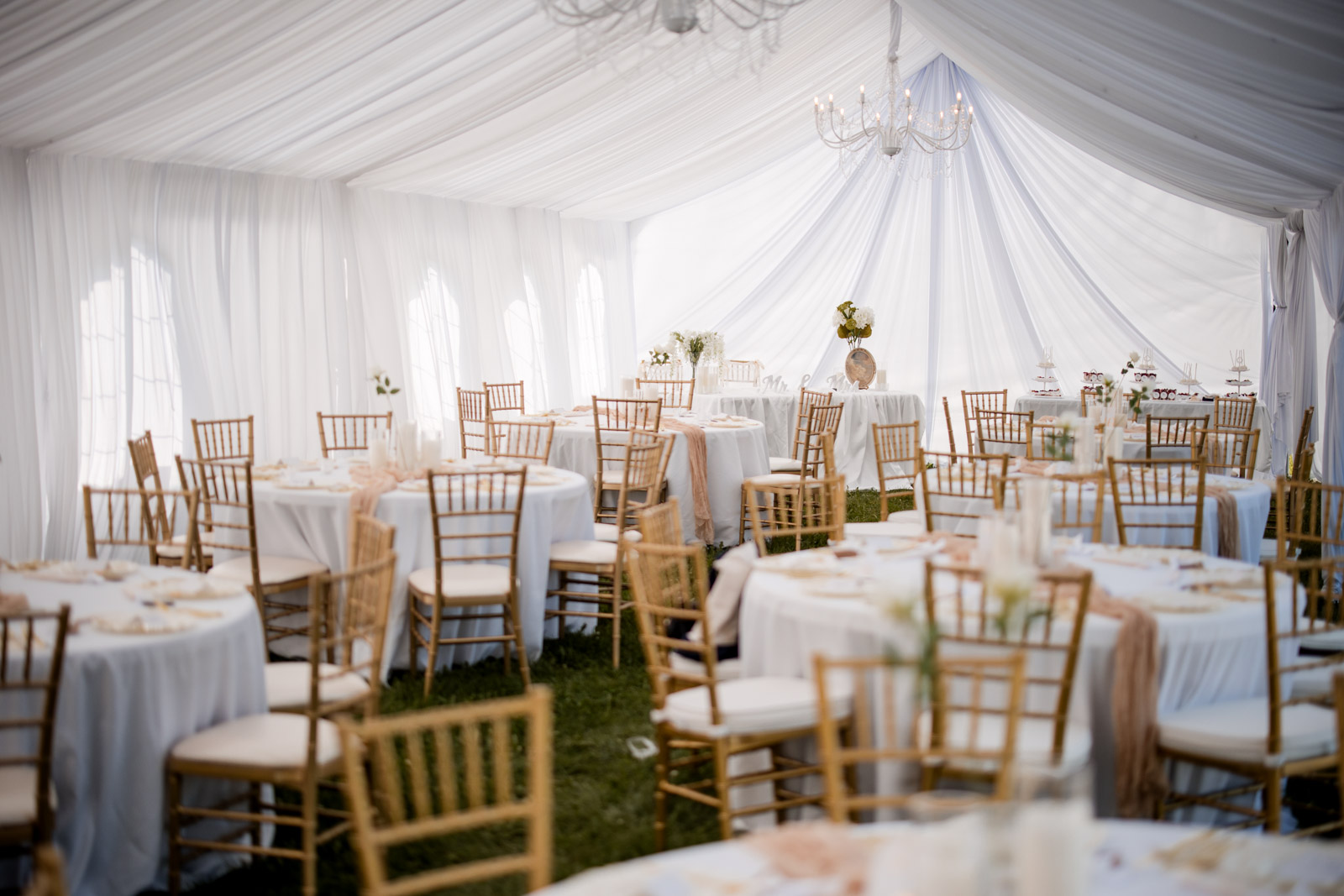 2026-08-08 Naperville_Lavita Photography-123