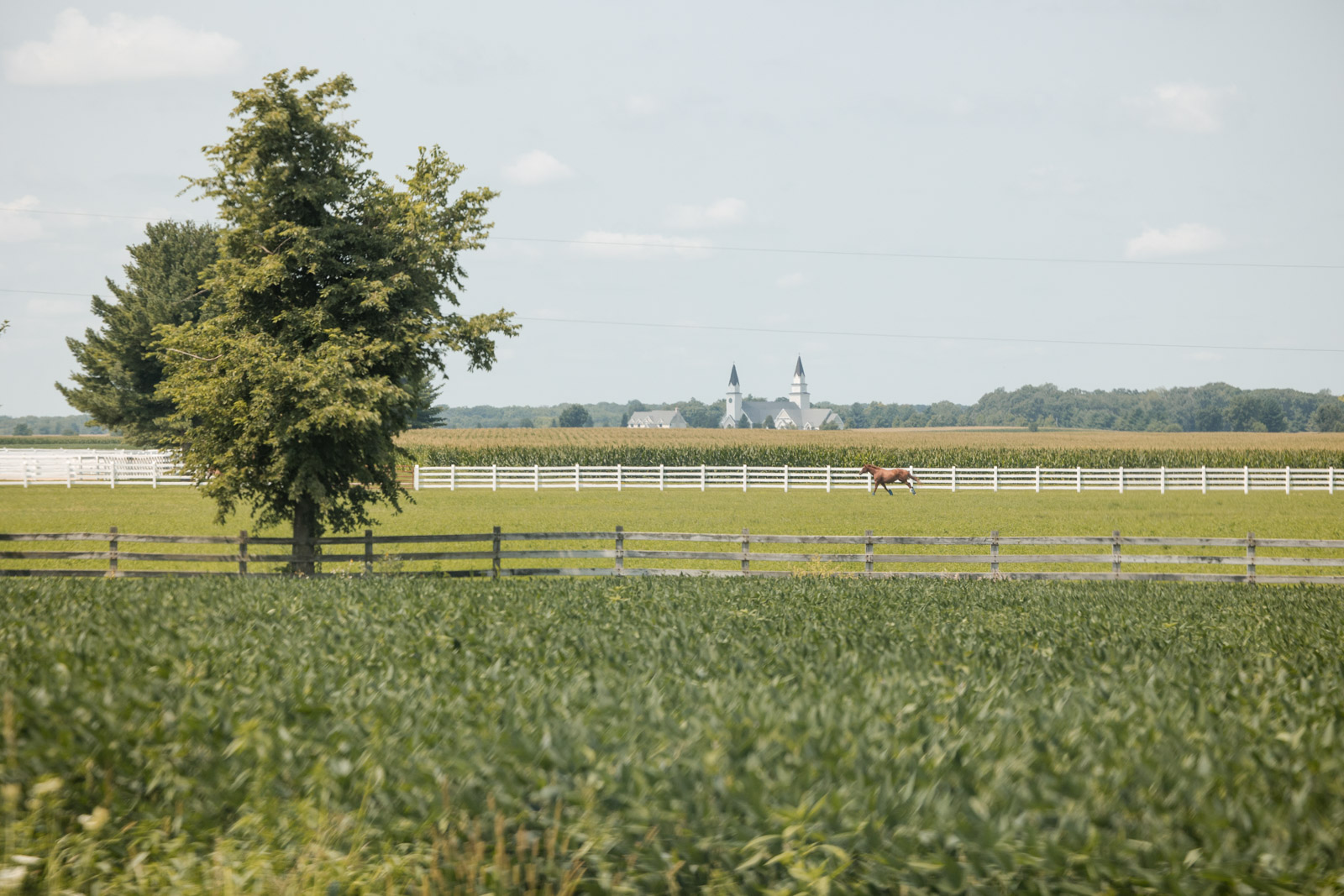 2026-08-08 Naperville_Lavita Photography-15 Church from outside with horse running in the field