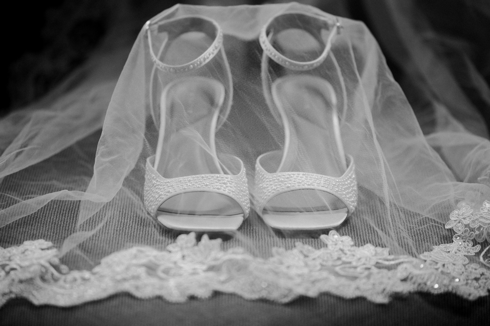 2026-08-08 Naperville_Lavita Photography-2