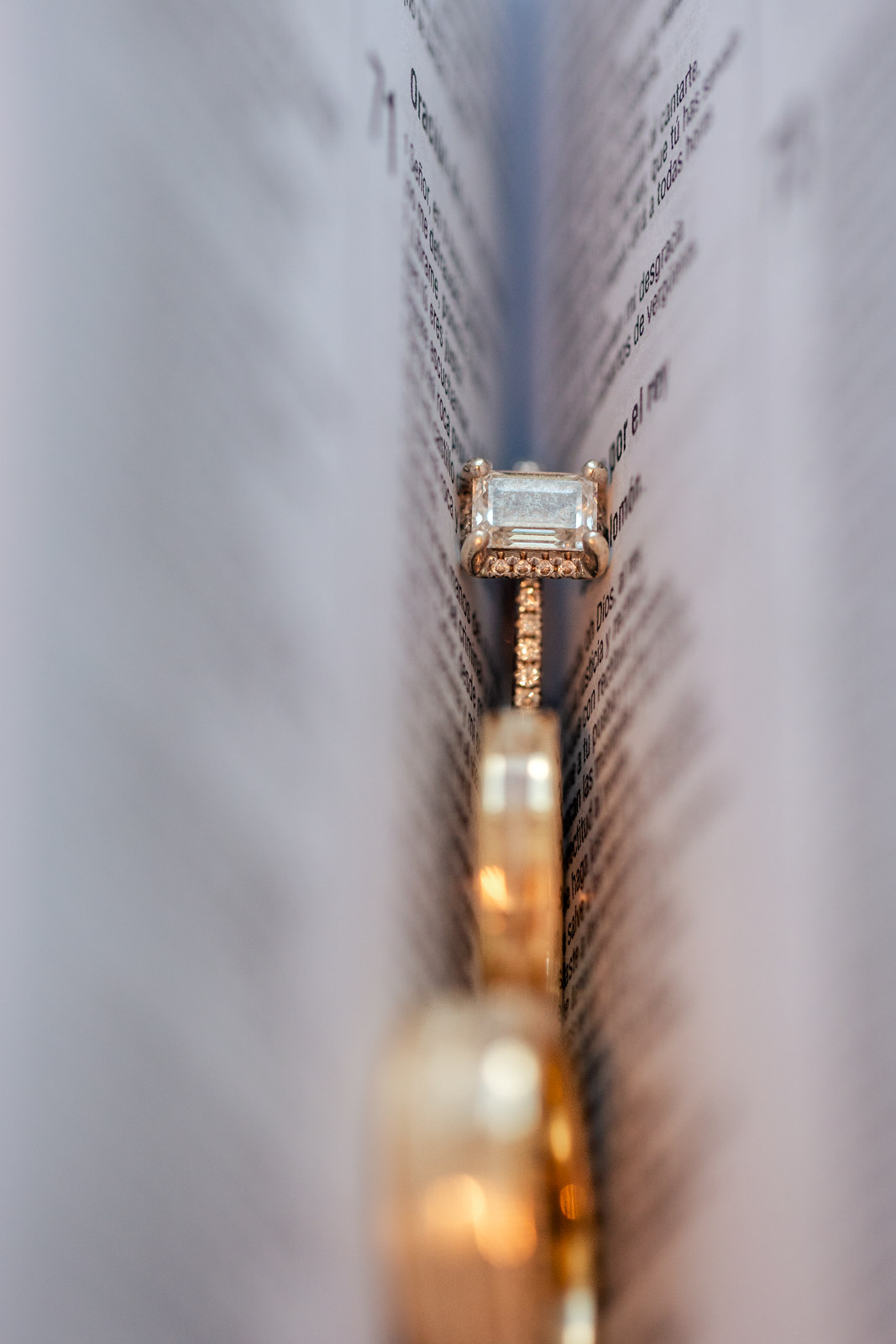 2026-08-08 Naperville_Lavita Photography-6