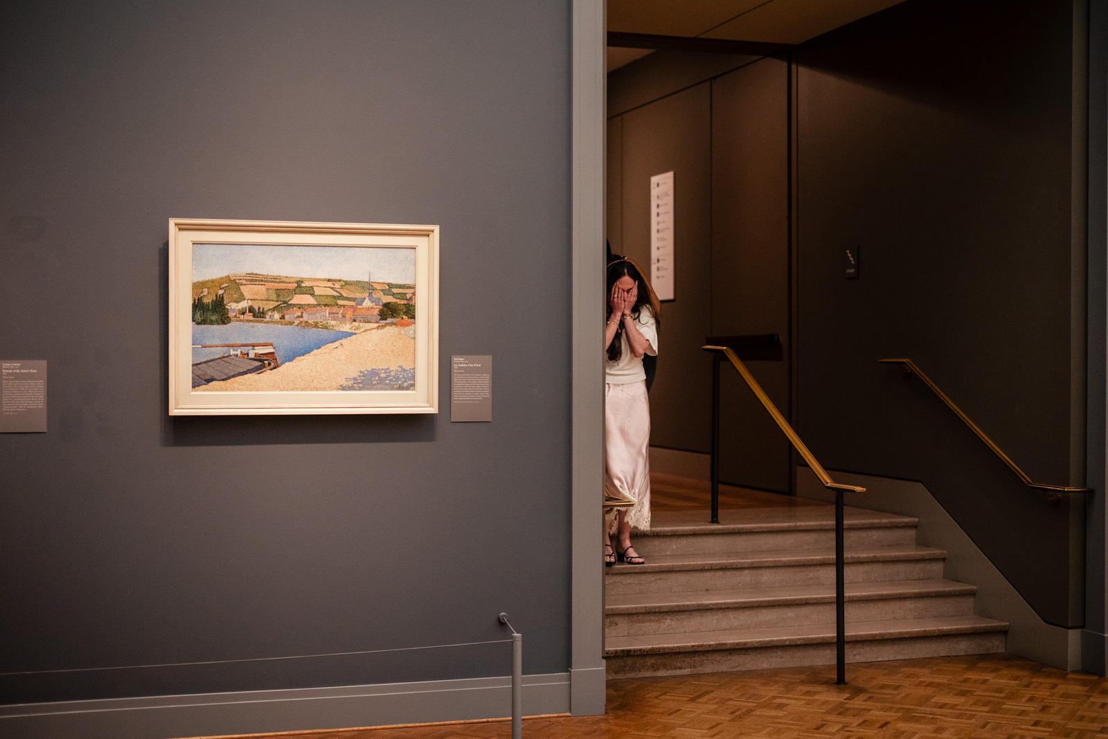 Chicago Art Institue Engagement_Lavita Photography-5 Surprise proposal Art Institute Chicago exhibition room